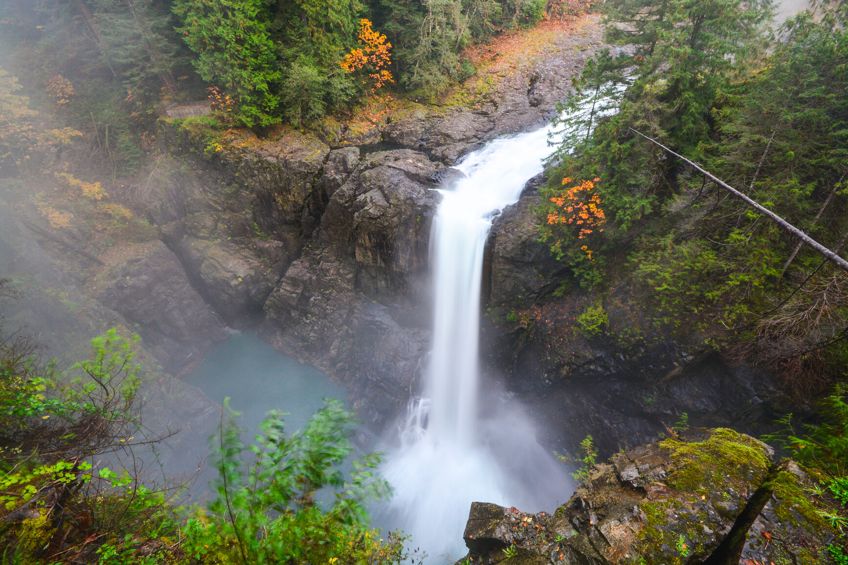Elk Falls Park - Spectacular waterfalls and hiking trails - Image 3